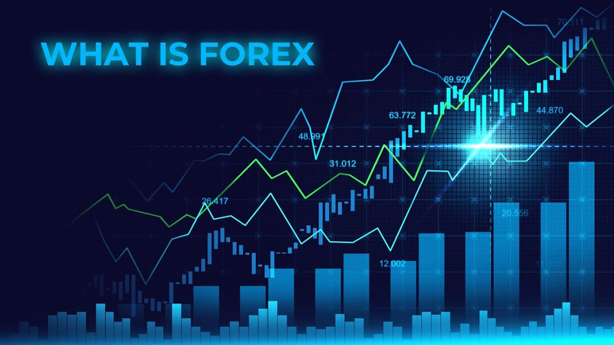 Read more about the article Forex Investment for Beginners: A Comprehensive Guide